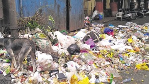 As per data of the Central Pollution Control Board, India generates 25,940 tonnes of plastic everyday.(HT image) As per data of the Central Pollution Control Board, India generates 25,940 tonnes of plastic everyday.(HT image)