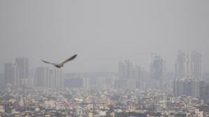 A view of the city skyline, in Gurugram, India, on Wednesday, October 09, 2019. On Wednesday, the AQI in the city fell to moderate after three weeks. The AQI on Tuesday was satisfactory. AQI is likely to be in the moderate category this week.(Yogendra Kumar/HT PHOTO) A view of the city skyline, in Gurugram, India, on Wednesday, October 09, 2019. On Wednesday, the AQI in the city fell to moderate after three weeks. The AQI on Tuesday was satisfactory. AQI is likely to be in the moderate category this week.(Yogendra Kumar/HT PHOTO)