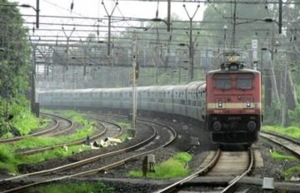 The issue comprised an offer-for-sale of 2.01 crore shares of face value of <span class='webrupee'>₹</span>10 each. Out of the total issue size, 1,60,000 equity shares are reserved for eligible employees.(PTI image) The issue comprised an offer-for-sale of 2.01 crore shares of face value of <span class='webrupee'>₹</span>10 each. Out of the total issue size, 1,60,000 equity shares are reserved for eligible employees.(PTI image)