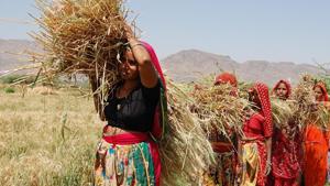 New subsidy scheme for farmers in Rajasthan will focus on women for gender mainstreaming(HT File) New subsidy scheme for farmers in Rajasthan will focus on women for gender mainstreaming(HT File)