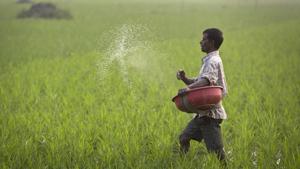 The water sample collected from the bore wells in the area shows a high level of contamination. This is due to the leaching of chemical fertilisers into groundwater, said Fawzia Tarannum, assistant professor, department of regional water studies, TERI.(AP Photo/Representative Image) The water sample collected from the bore wells in the area shows a high level of contamination. This is due to the leaching of chemical fertilisers into groundwater, said Fawzia Tarannum, assistant professor, department of regional water studies, TERI.(AP Photo/Representative Image)