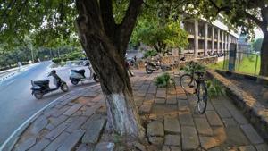 Concreting the space around trees leaves no breathing space, putting the life of trees under threat. The guidelines of the ministry of urban development state that a minimum area of 1.25 x 1.25 metre around the trees should be left uncemented.(HT PHOTO) Concreting the space around trees leaves no breathing space, putting the life of trees under threat. The guidelines of the ministry of urban development state that a minimum area of 1.25 x 1.25 metre around the trees should be left uncemented.(HT PHOTO)