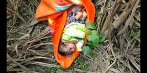 The baby was found lying in a sugarcane field in Mirganj locality of Bareilly.(HT Photo) The baby was found lying in a sugarcane field in Mirganj locality of Bareilly.(HT Photo)