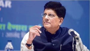 Goyal informed that some complaints have been brought to his attention regarding violations by e-commerce companies.(HT image) Goyal informed that some complaints have been brought to his attention regarding violations by e-commerce companies.(HT image)