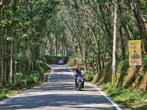 Malayali, macho, masculine: Riding through a rubber estate in Idukki, Kerala.(NurPhoto via Getty Images) Malayali, macho, masculine: Riding through a rubber estate in Idukki, Kerala.(NurPhoto via Getty Images)
