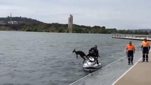 The video was shared across various social media platforms.(Twitter/Josh Butler) The video was shared across various social media platforms.(Twitter/Josh Butler)