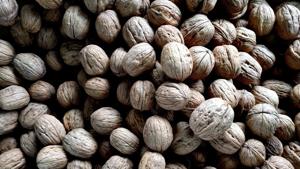 Eating at least four walnuts a day will help in curing many diseases, including cancer, obesity, diabetes as well as in maintaining body weight, cognitive, reproductive health and more.(Unsplash) Eating at least four walnuts a day will help in curing many diseases, including cancer, obesity, diabetes as well as in maintaining body weight, cognitive, reproductive health and more.(Unsplash)