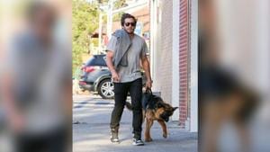 Jake Gyllenhaal turned a good Samaritan when he rescued a dog from the busy New York City traffic.(representational image).(Pinterest) Jake Gyllenhaal turned a good Samaritan when he rescued a dog from the busy New York City traffic.(representational image).(Pinterest)
