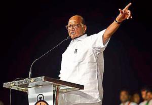 NCP president Sharad Pawar address a campaign rally ahead of the Assembly polls in Beed.(HT File) NCP president Sharad Pawar address a campaign rally ahead of the Assembly polls in Beed.(HT File)