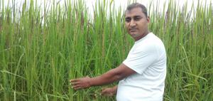 Farmer Ravi Prakash Maurya with his first crop of black rice in his village in Prayagraj Farmer Ravi Prakash Maurya with his first crop of black rice in his village in Prayagraj