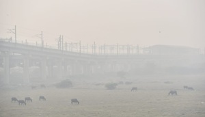 Heavy smog engulfed the National Capital Region, a day after Diwali in early hours of morning(Sanchit Khanna/ HT Photo) Heavy smog engulfed the National Capital Region, a day after Diwali in early hours of morning(Sanchit Khanna/ HT Photo)