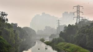SAFAR data showed that only 5% of the PM 2.5 levels recorded in Delhi came from stubble burning emissions on Wednesday.(HT Photo) SAFAR data showed that only 5% of the PM 2.5 levels recorded in Delhi came from stubble burning emissions on Wednesday.(HT Photo)