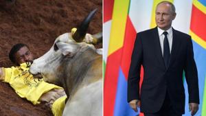 There were speculations that Vladimir Putin may witness Jallikattu in Tamil Nadu in January 2020(Photo: Associated Press/ Edited by HT) There were speculations that Vladimir Putin may witness Jallikattu in Tamil Nadu in January 2020(Photo: Associated Press/ Edited by HT)