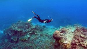 A man snorkels in an area called the A man snorkels in an area called the