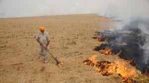 Farmer burning paddy stubble on Sangrur Road in Patiala on Wednesday.(ht photo) Farmer burning paddy stubble on Sangrur Road in Patiala on Wednesday.(ht photo)