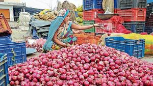 Delhi’s Food and Civil Supplies minister directed agencies to work in coordination with each other to ensure the timely, regular and adequate supply of onion through mobile vans.(PTI) Delhi’s Food and Civil Supplies minister directed agencies to work in coordination with each other to ensure the timely, regular and adequate supply of onion through mobile vans.(PTI)