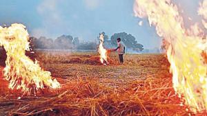 A farmer burns paddy stubble at Chismani village on the outskirts of Sonipat in Haryana.(Raj K Raj/HT file) A farmer burns paddy stubble at Chismani village on the outskirts of Sonipat in Haryana.(Raj K Raj/HT file)