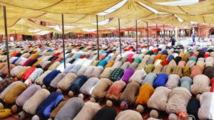 Eid-e-Milad is a prominent festival for Muslims.(Unsplash) Eid-e-Milad is a prominent festival for Muslims.(Unsplash)
