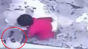 The cat sprints forward and saves the baby.(Screengrab) The cat sprints forward and saves the baby.(Screengrab)