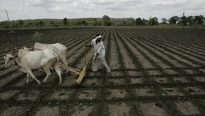 The RSLDB lends to farmers at an interest rate of 12.1 percent of which the government gives a 5% interest subvention or grant to the bank. So effectively, farmers get the loan at 7.1 percent.(Rajanish Kakade/HT File Photo) The RSLDB lends to farmers at an interest rate of 12.1 percent of which the government gives a 5% interest subvention or grant to the bank. So effectively, farmers get the loan at 7.1 percent.(Rajanish Kakade/HT File Photo)