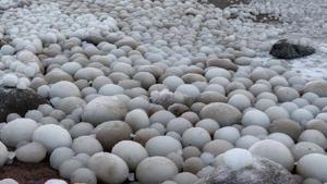 ‘Ice eggs’ of different sizes covered about 100 feet of area on the beach.(Instagram/sirpatero) ‘Ice eggs’ of different sizes covered about 100 feet of area on the beach.(Instagram/sirpatero)