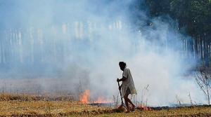 FIRs have failed to prove a deterrent against stubble burning across Mohali district(FILE PHOTO) FIRs have failed to prove a deterrent against stubble burning across Mohali district(FILE PHOTO)