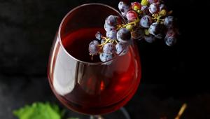 Of culture, wine-making and travel: Here’s what you can do when in Argentina(Unsplash) Of culture, wine-making and travel: Here’s what you can do when in Argentina(Unsplash)