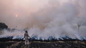 A farm worker monitors the burning of rice crop stubble in the Patiala district of Punjab.(Photo: Bloomberg)