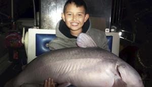 \Alex Flores, 9, holds a 19 kgs blue catfish.(AP) \Alex Flores, 9, holds a 19 kgs blue catfish.(AP)