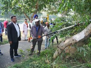 The UT forest department had approved the felling of 472 trees,(HT FILE) The UT forest department had approved the felling of 472 trees,(HT FILE)