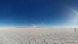 It would be impossible to imagine a spot on Earth where there is an absence of life.(Unsplash) It would be impossible to imagine a spot on Earth where there is an absence of life.(Unsplash)