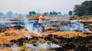 Punjab saw more farm fires this time than last year. Its farmers are being blamed for the air pollution crisis in north India in the past few weeks.(HT Photo) Punjab saw more farm fires this time than last year. Its farmers are being blamed for the air pollution crisis in north India in the past few weeks.(HT Photo)
