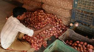 The government is making all efforts to get onion stock from Egypt, Turkey and Netherlands (Photo by Parveen Kumar/Hindustan Times) The government is making all efforts to get onion stock from Egypt, Turkey and Netherlands (Photo by Parveen Kumar/Hindustan Times)