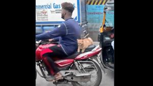 The feline in question was seen riding pillion on a bike with absolute ease.(Twitter) The feline in question was seen riding pillion on a bike with absolute ease.(Twitter)