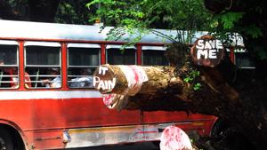 Maharashtra, Oct 09 (ANI): A tree with 'Save Me' and 'It Pain' written on it after being cut for an MMRCL project at Aarey Colony Goregaon in Mumbai on Wednesday. (ANI Photo) Maharashtra, Oct 09 (ANI): A tree with 'Save Me' and 'It Pain' written on it after being cut for an MMRCL project at Aarey Colony Goregaon in Mumbai on Wednesday. (ANI Photo)