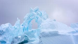 Antarctica is the world’s fifth largest continent.(Shutterstock) Antarctica is the world’s fifth largest continent.(Shutterstock)