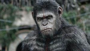 Andy Serkis as Caesar in the Planet of the Apes reboot series. Andy Serkis as Caesar in the Planet of the Apes reboot series.