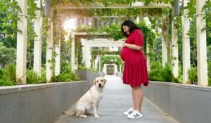 A maternity shoot by Prathima Pingali of Pawparazzi. ‘In a good month, I do about six shoots,’ says Pingali, who gave up her mainstream photography career to specliase in pets, after she saw how her pictures of the family Labrador were helping her parents and brother grieve after his demise. A maternity shoot by Prathima Pingali of Pawparazzi. ‘In a good month, I do about six shoots,’ says Pingali, who gave up her mainstream photography career to specliase in pets, after she saw how her pictures of the family Labrador were helping her parents and brother grieve after his demise.