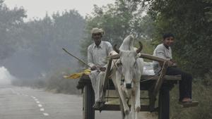 Haryana, India - Nov. 13, 2019: A man rides his cart at Barsola village, in Jind Haryana, India, on Wednesday, November 13, 2019. The Khera khap of Jind district in Haryana has decided not to use their caste as their surnames. (Photo by Burhaan Kinu/ Hindustan Times)(Burhaan Kinu/HT PHOTO) Haryana, India - Nov. 13, 2019: A man rides his cart at Barsola village, in Jind Haryana, India, on Wednesday, November 13, 2019. The Khera khap of Jind district in Haryana has decided not to use their caste as their surnames. (Photo by Burhaan Kinu/ Hindustan Times)(Burhaan Kinu/HT PHOTO)