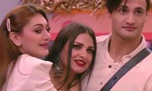 Bigg Boss 13: Shefali Jariwala and Asim Riaz shared a beautiful bond when Himanshi Khurana was in the house. Bigg Boss 13: Shefali Jariwala and Asim Riaz shared a beautiful bond when Himanshi Khurana was in the house.