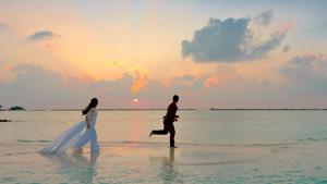 Honeymoon Holiday Cover is a comprehensive plan that secures you against a range of incidents.(Pexels) Honeymoon Holiday Cover is a comprehensive plan that secures you against a range of incidents.(Pexels)