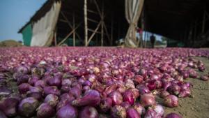 Onion prices have crossed the Rs 100 per kilogram mark in almost all markets in the country for the past several weeks, making it one of the major points of acrimony in the country’s political discourse.(Pratik Chorge/HT Photo) Onion prices have crossed the Rs 100 per kilogram mark in almost all markets in the country for the past several weeks, making it one of the major points of acrimony in the country’s political discourse.(Pratik Chorge/HT Photo)