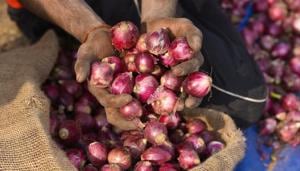 The rate of price rise for food articles rose to 11 per cent during November as against 9.80 a month earlier(Burhaan Kinu/HT Photo) The rate of price rise for food articles rose to 11 per cent during November as against 9.80 a month earlier(Burhaan Kinu/HT Photo)