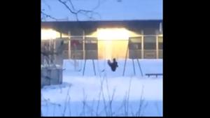 The video of a man on a swing has left netizens scratching their heads.(Twitter/@esnycuddles) The video of a man on a swing has left netizens scratching their heads.(Twitter/@esnycuddles)