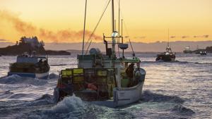 The fund will mainly be used by the coastal states to invest in infrastructure facilities for deep-sea fishing, post-harvesting, cage culture and export promotion of fish and marine products.(AP) The fund will mainly be used by the coastal states to invest in infrastructure facilities for deep-sea fishing, post-harvesting, cage culture and export promotion of fish and marine products.(AP)