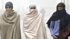 Northern India is under the grip of a severe cold spell, and cold or severe cold day conditions are likely to continue for the next five days in several areas in the plains, according to an India Meteorological Department (IMD) bulletin released on Wednesday.(Sameer Sehgal/Hindustan Times) Northern India is under the grip of a severe cold spell, and cold or severe cold day conditions are likely to continue for the next five days in several areas in the plains, according to an India Meteorological Department (IMD) bulletin released on Wednesday.(Sameer Sehgal/Hindustan Times)