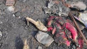 Police says hut of a villager in the Bhind district was set afire by some villagers, killing a farmer.(HT Photo/File/Representational) Police says hut of a villager in the Bhind district was set afire by some villagers, killing a farmer.(HT Photo/File/Representational)