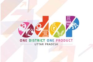 The UP government’s ODOP scheme aims to encourage indigenous and specialised products and crafts of all the districts of the state.((for representation)) The UP government’s ODOP scheme aims to encourage indigenous and specialised products and crafts of all the districts of the state.((for representation))