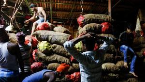 Indian laborers work at a wholesale vegetable market in Kolkata. Hanke opined that Modi government seems to have little interest in making tough and required economic reforms.(AP) Indian laborers work at a wholesale vegetable market in Kolkata. Hanke opined that Modi government seems to have little interest in making tough and required economic reforms.(AP)