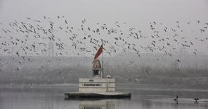 File Photo of Yamuna River(Sonu Mehta/HT PHOTO) File Photo of Yamuna River(Sonu Mehta/HT PHOTO)